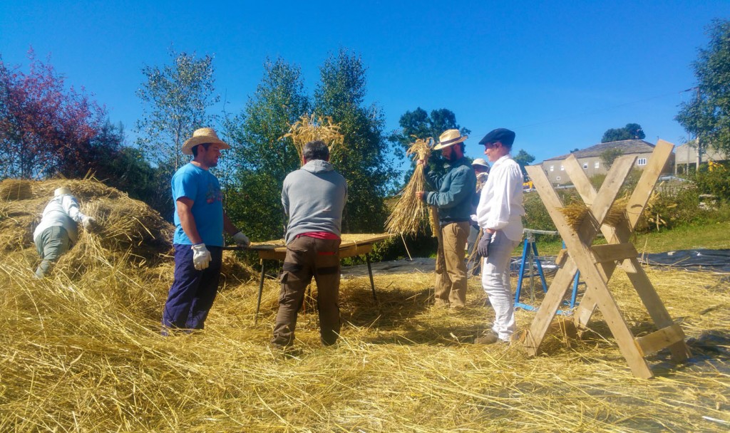 preparando o manizo